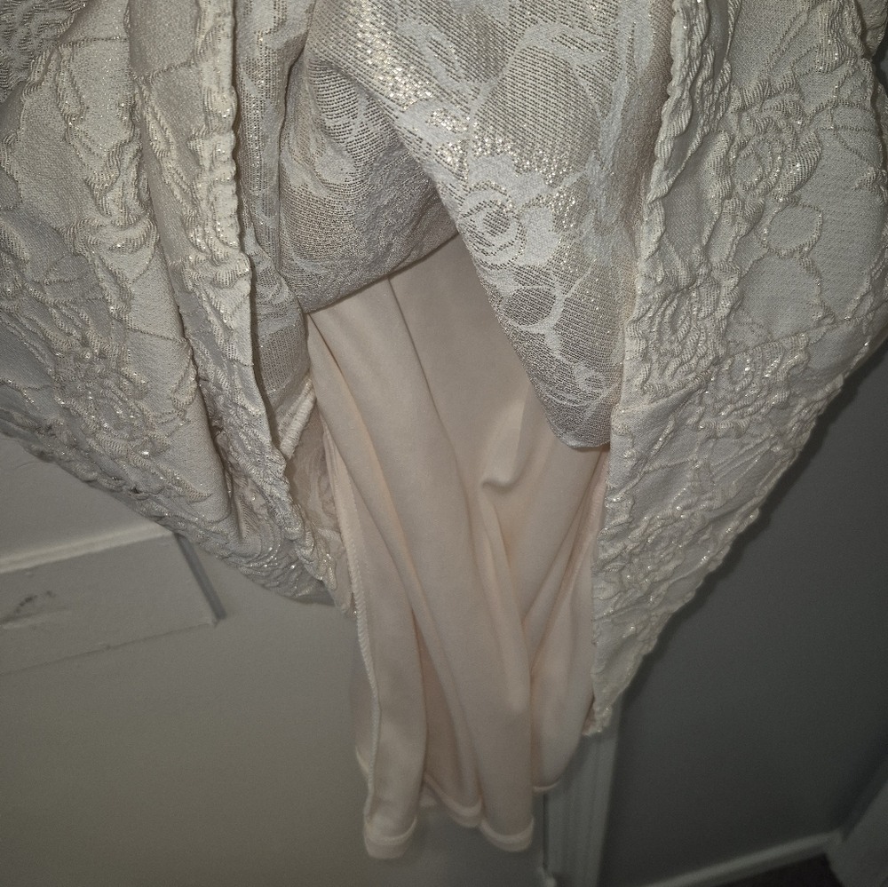 Donna Ricco NY Size 12 Elegant Cream Lace Dress - Picture 4 of 7